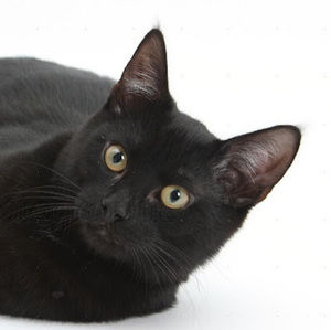 Meet your Posher, Ruth